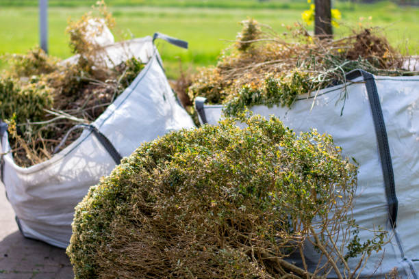 Best Construction Debris Removal  in Ashland, AL